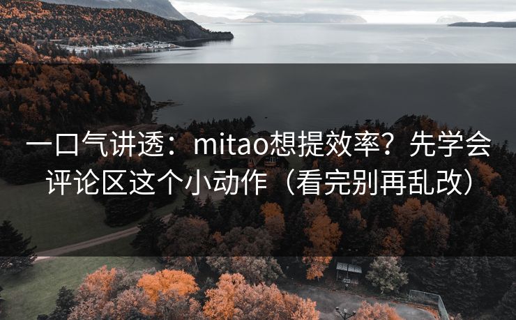 一口气讲透：mitao想提效率？先学会评论区这个小动作（看完别再乱改）
