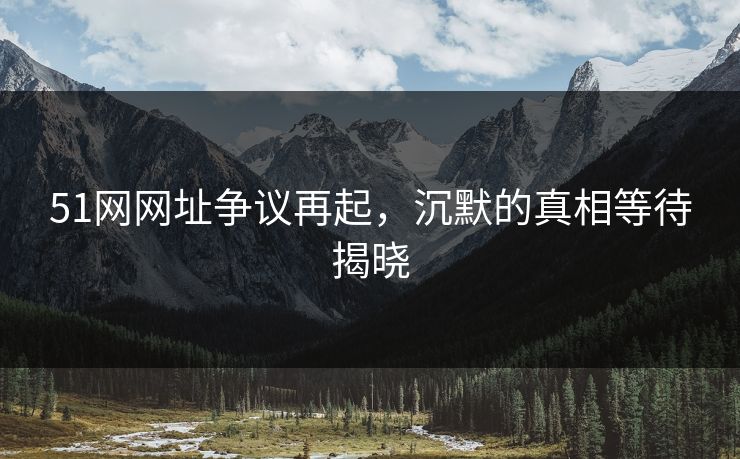 51网网址争议再起，沉默的真相等待揭晓